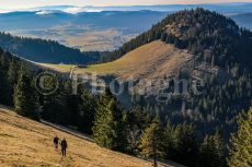 Salendo verso Chasseron