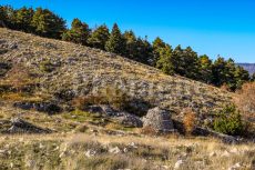 Capanne di pastori che salgono da Grasse