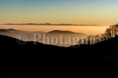 The Black Forest from the Baerenkopf