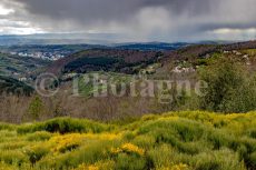 Discesa a Saint-Étienne tra le ginestre