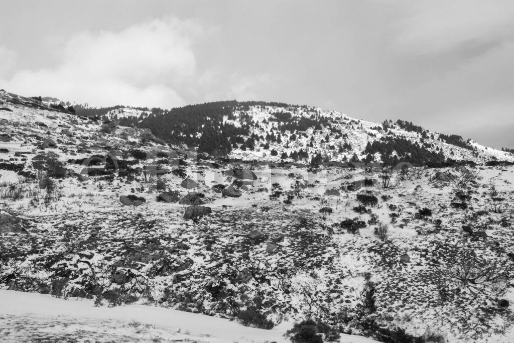 Salendo al rifugio Serrat del Freser, con le racchette da neve nei Pirenei catalani