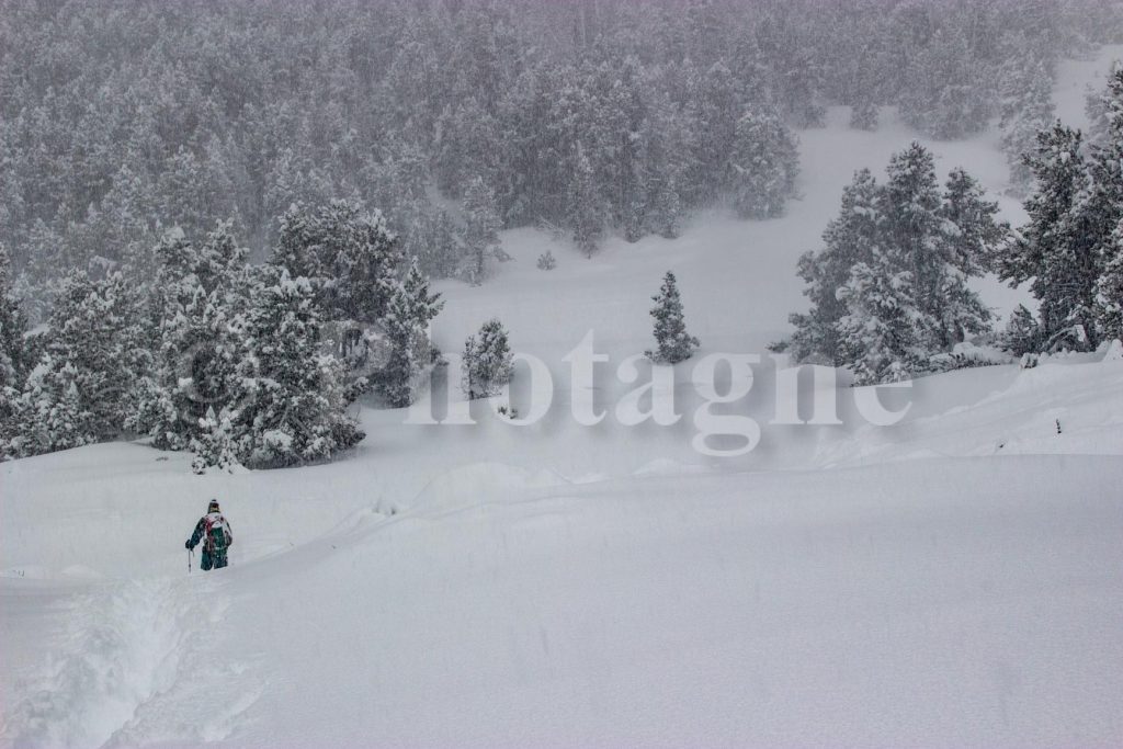 In the storm, in the Mata Nova forest, on snowshoes in the Catalan Pyrenees