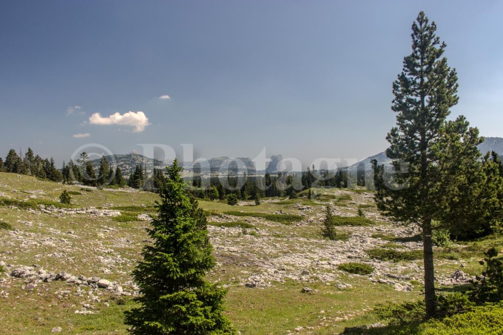 Le mont Aiguille depuis la Plaine du Roi