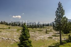 Mont Aiguille dalla Plaine du Roi