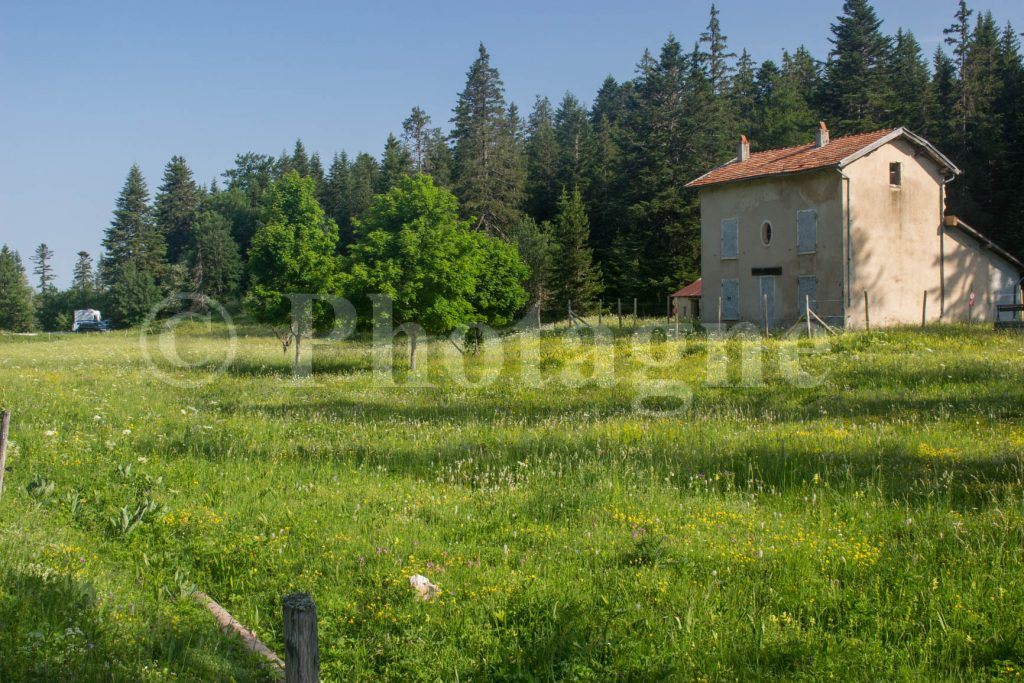 The forest house of La Coche early in the morning