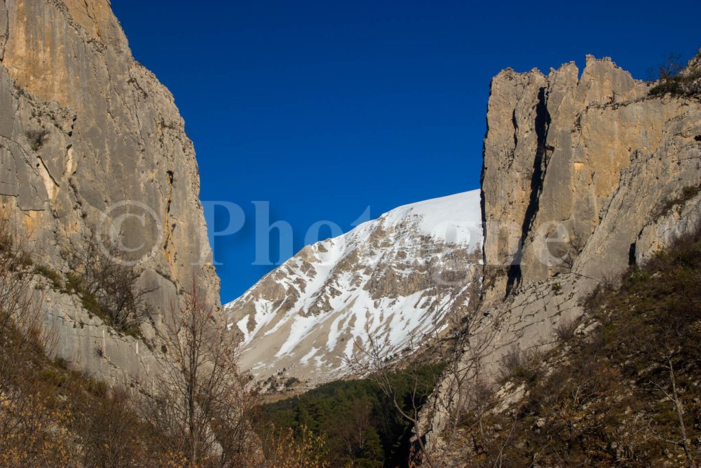 Poster, canvas or framed print • Photagne