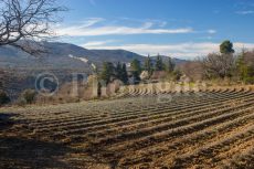 In partenza dalla zona di Barbabianca