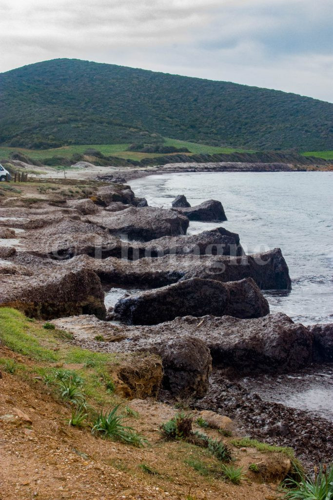 Posidonia cliffs in the bay of Macinaggio, in Cap Corse in bivouac