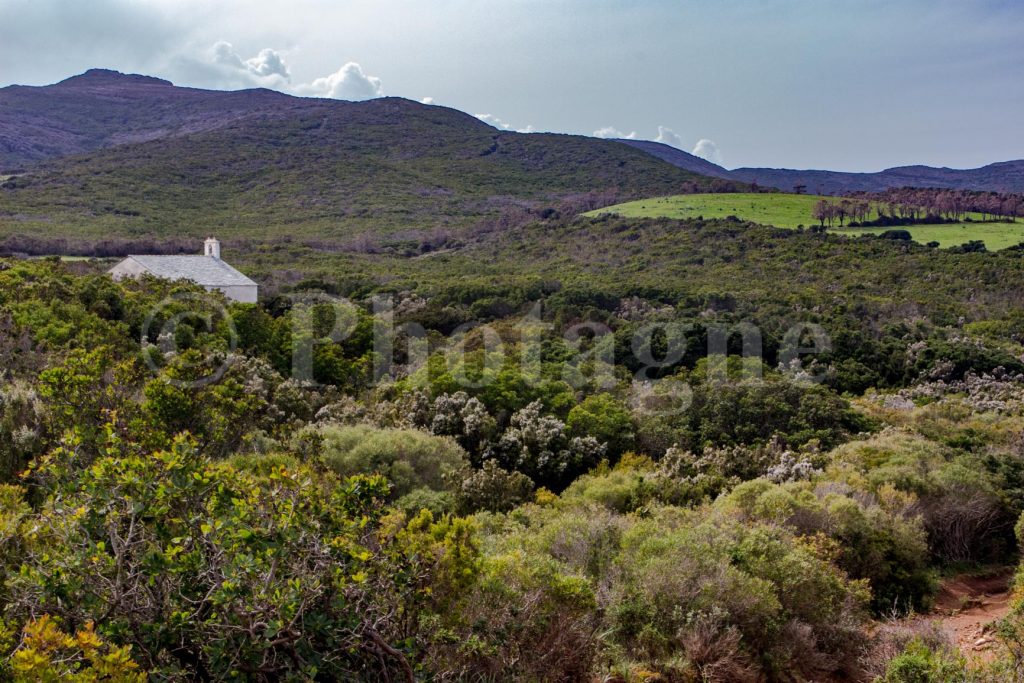 La chapelle de Santa Maria en plein milieu du maquis