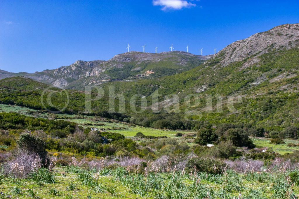 La punta di Torricella, nel Capo Corso in bivacco