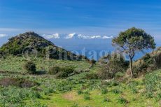 The snow-capped Corsican mountains from Punta di Canelle