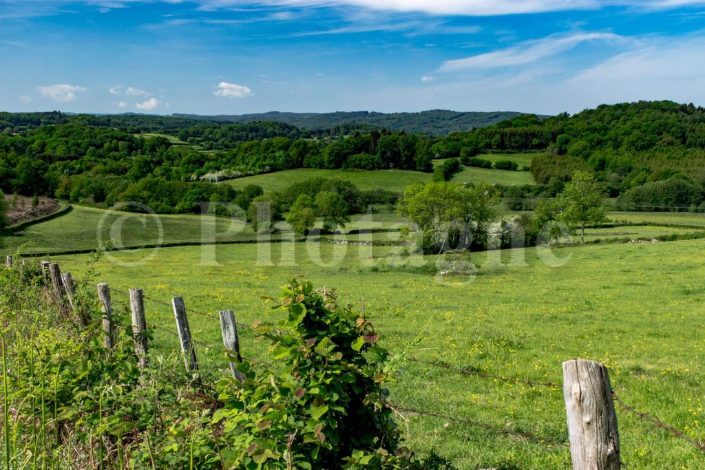 Le long des prairies du Morvan