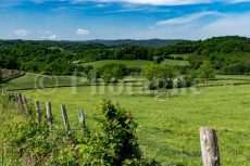 Along the Morvan meadows