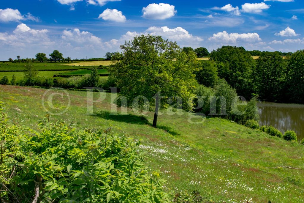 Un paesaggio verde tipico del Morvan