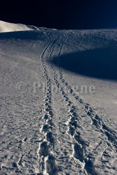 Snowshoe traces on the plateau behind the Barre