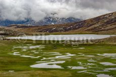 Hike to Lake Nino and its pozzines