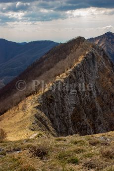 The ridge path