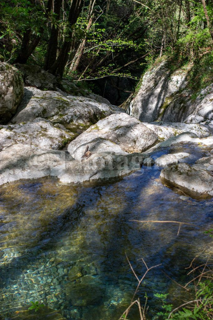 Baignade obligatoire !