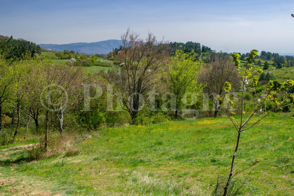 The Tuscan countryside towards Vetta Le Croci