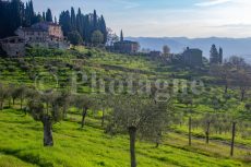 Tuscany countryside in the morning