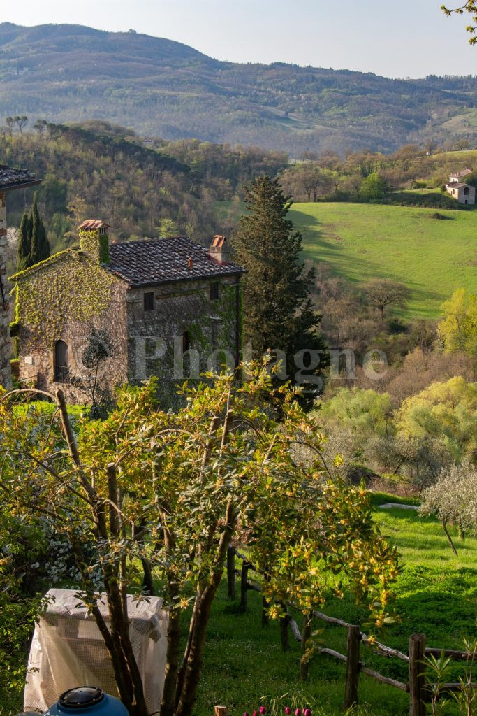 Vue depuis le château de Trebbio