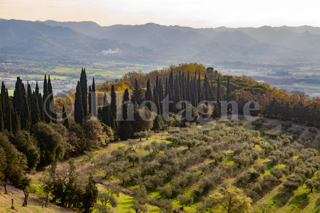 Tuscan countryside 2, on the path of the gods