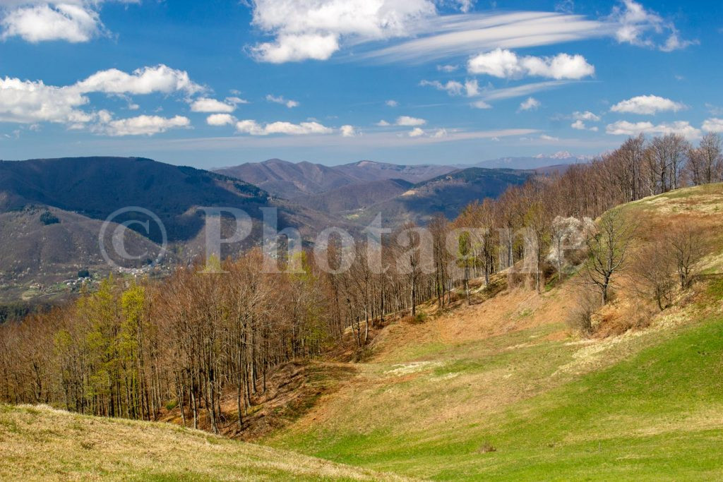 The Apennines of Emilia-Romagna on the path of the gods