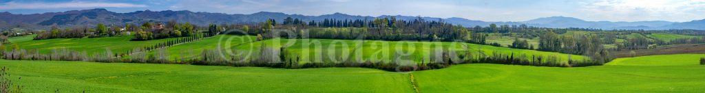 Campagne Toscane vers Gabbiano