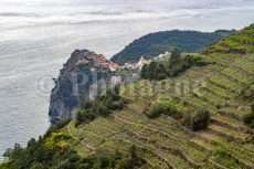 Vineyards and Corniglia in the evening, along the Cinque Terre hike