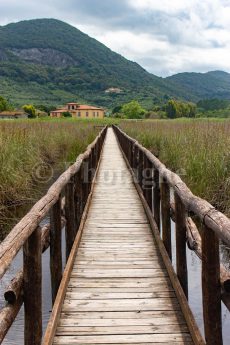 Wooden bridge over Lake Massaciuccoli