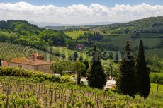 Tuscan countryside towards San Gimignano