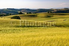 Campi toscani verso Montepulciano