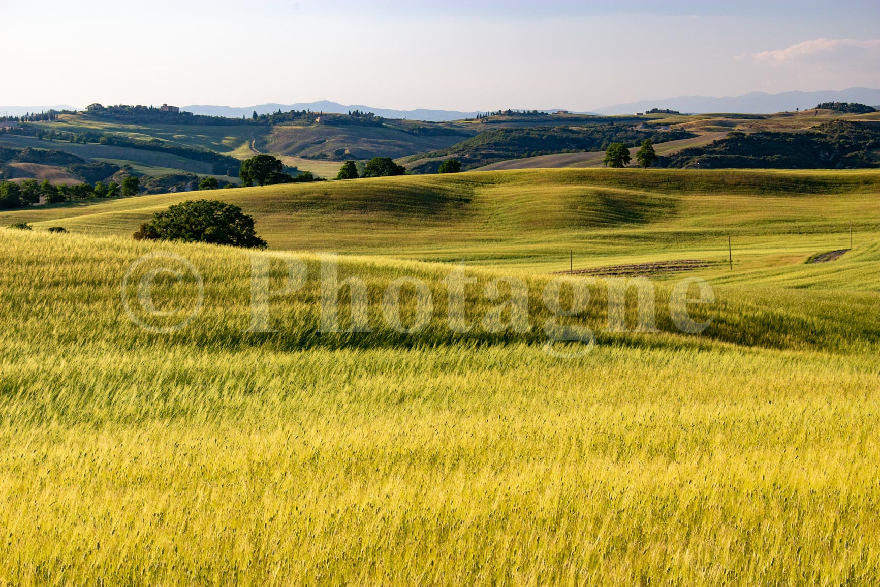 Tuscan fields towards Montepulciano