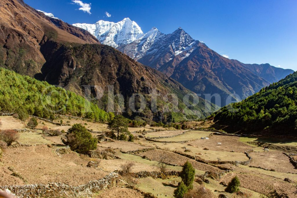 Terraced fields and Thamserku to Sanasa, on the Three Passes trek