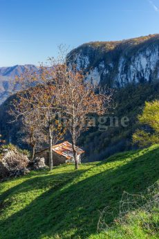 Cabane vers Gallicano