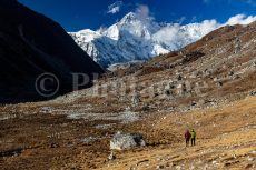 Promenade vers le Cho Oyu