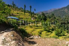 House and millet fields in Nunthala