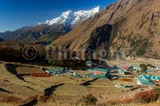 Terraced fields at Phortse, on the Three Passes trek