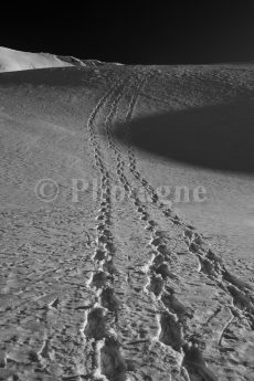 Traces dans la neige