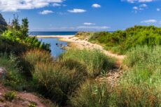 Praia da Figueira