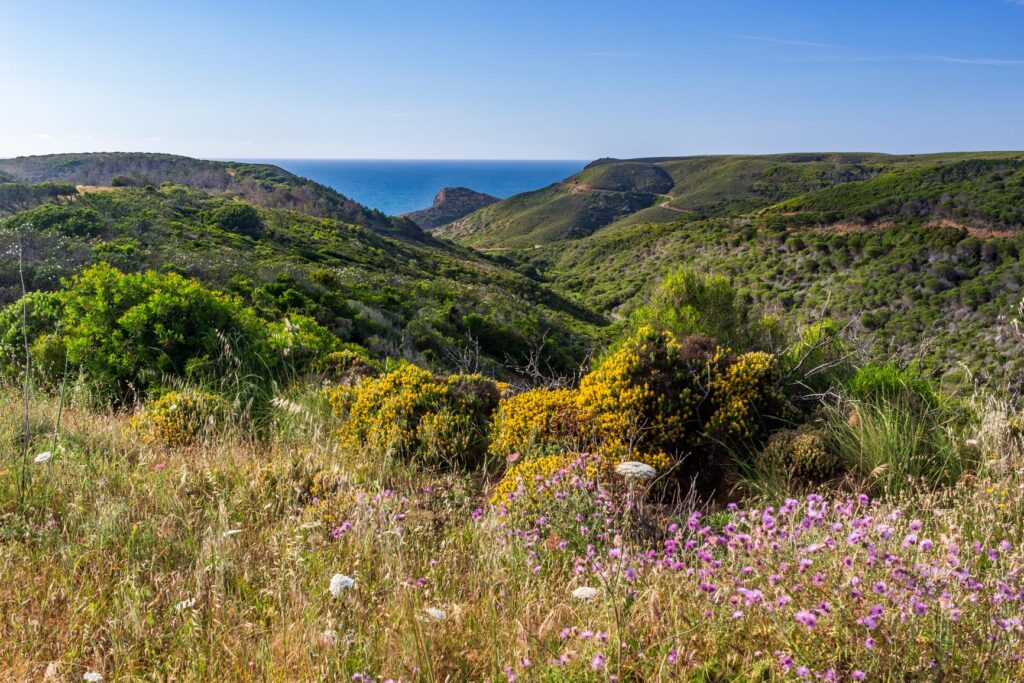 Vallée de Barriga